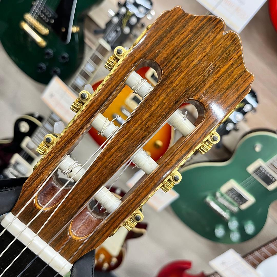 【10990】 Takamine エレアコ マカフェリ NPT-315