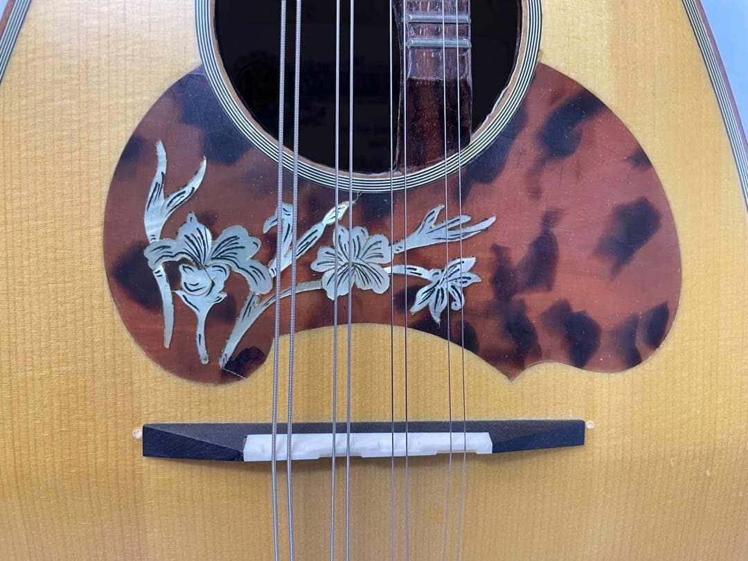 ラファエル・カラーチェ No.26 マンドリン