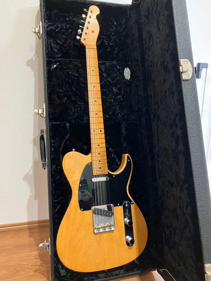 ギター Don Grosh Retro Classic Vintage T ASH/M