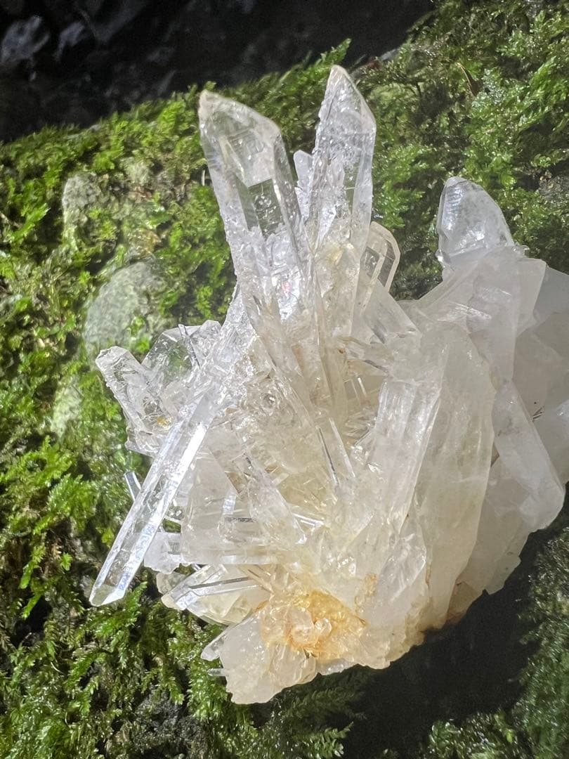 龍脈の精髄 水晶クラスター 「光を宿す透明なる守護」 九州産国産水晶宝石質AAA