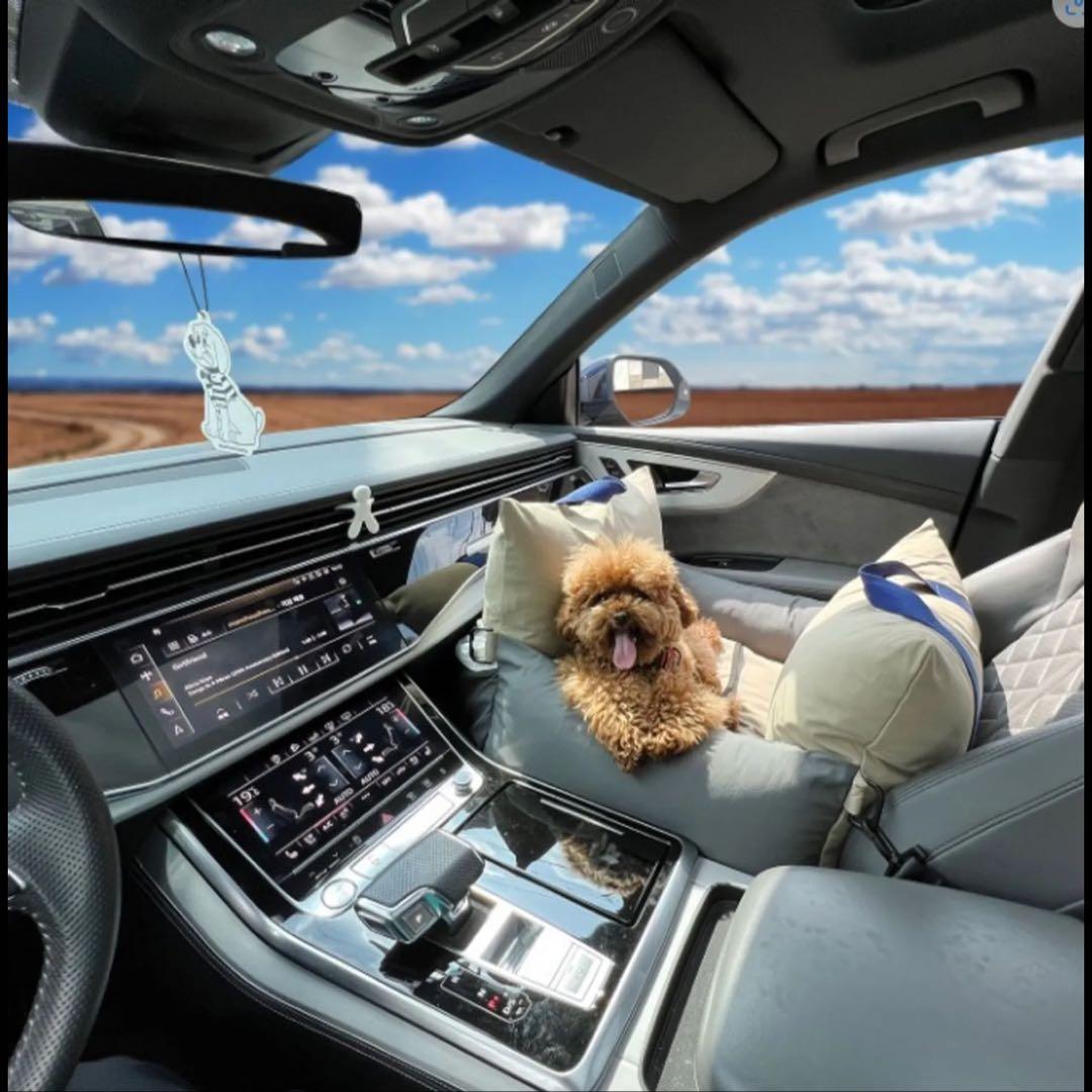 ペットカーシート ペットドライブボックス ペットキャリー　犬用カーシートＭサイズ