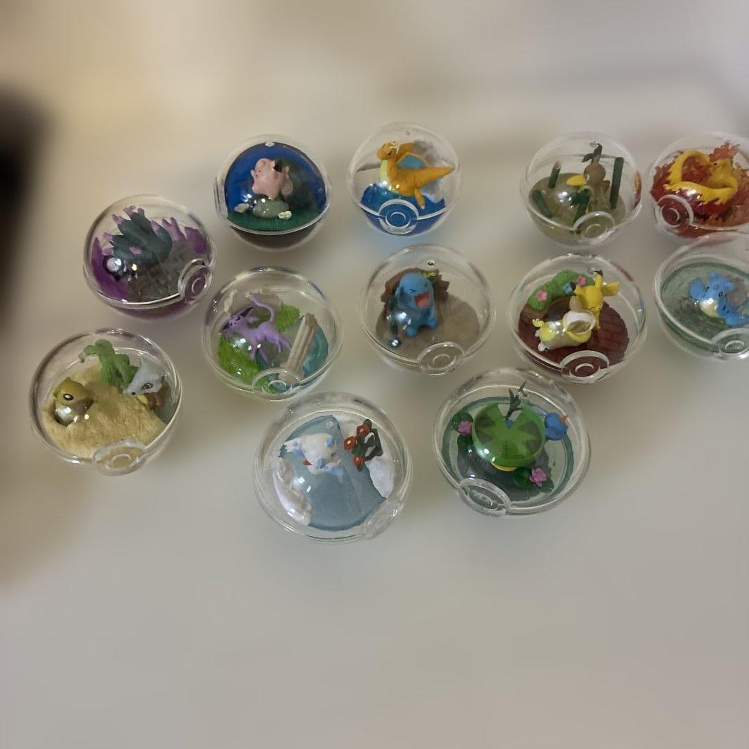 右上！ポケモン テラリウムコレクション 12種