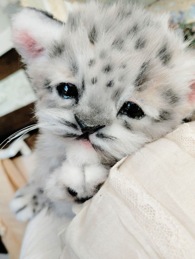 ユキヒョウベビー♡赤ちゃん♡アートドール♡ぬいぐるみ♡