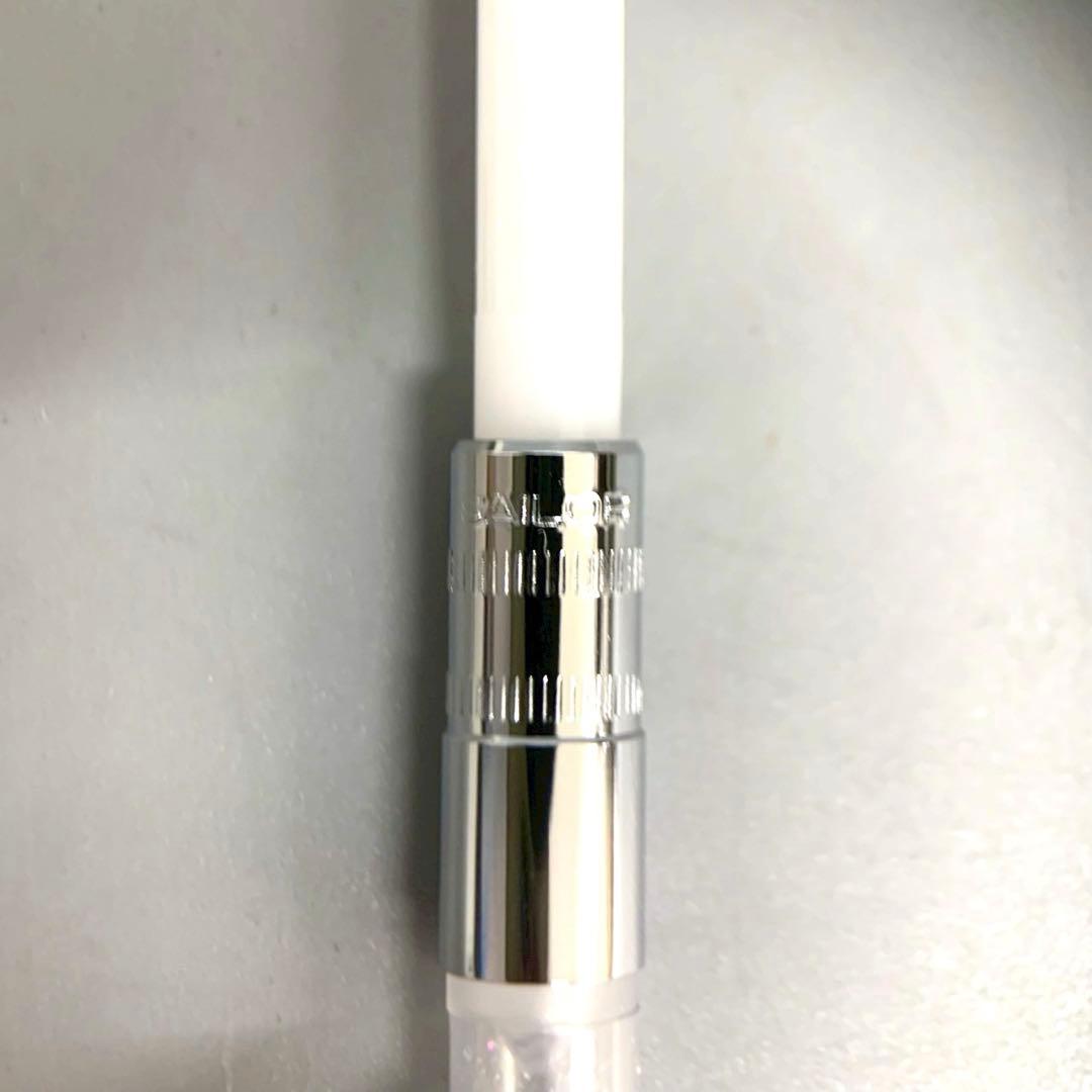 未使用保管品 セーラー SAILOR 万年筆 ancora限定 パンジー 14K