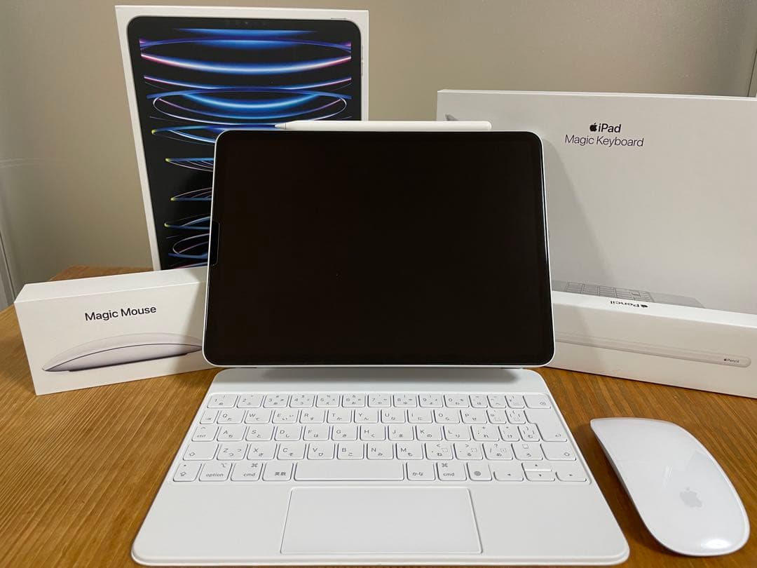 iPad Pro(M2) 11インチ wifi 512GB 周辺機器 フルセット