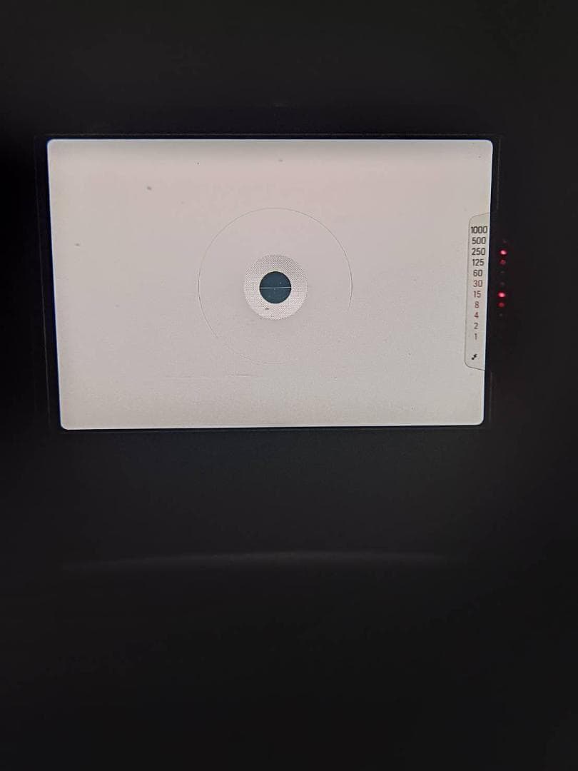 美品 NIKON FG シルバー フィルム　モルト新品交換済 M840