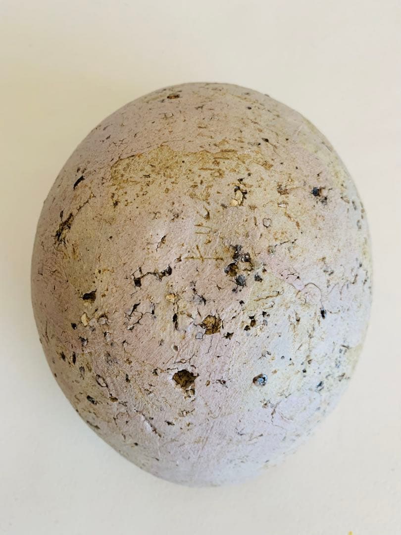 内田鋼一　加彩　ボウル　bowl 花器