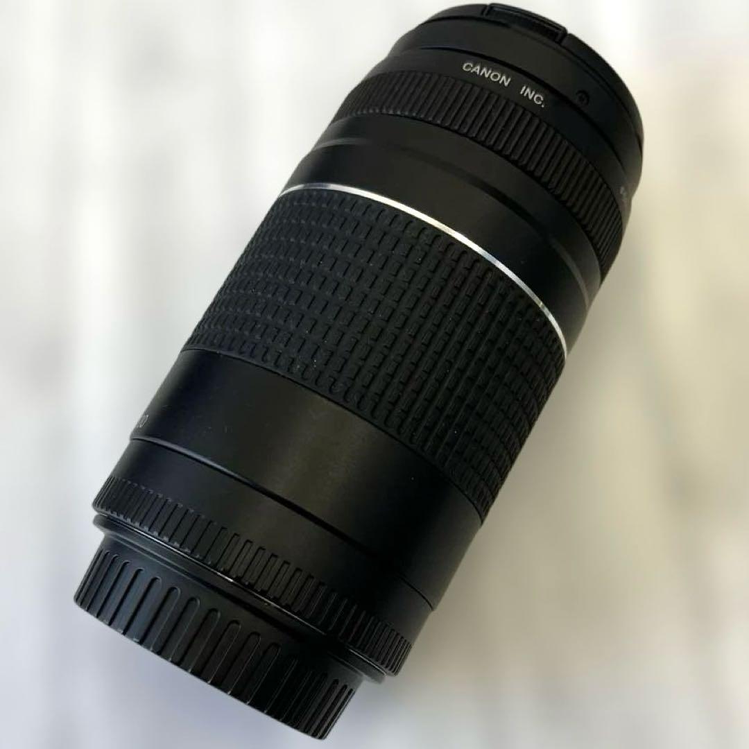 Canon 75-300mm ズームレンズ