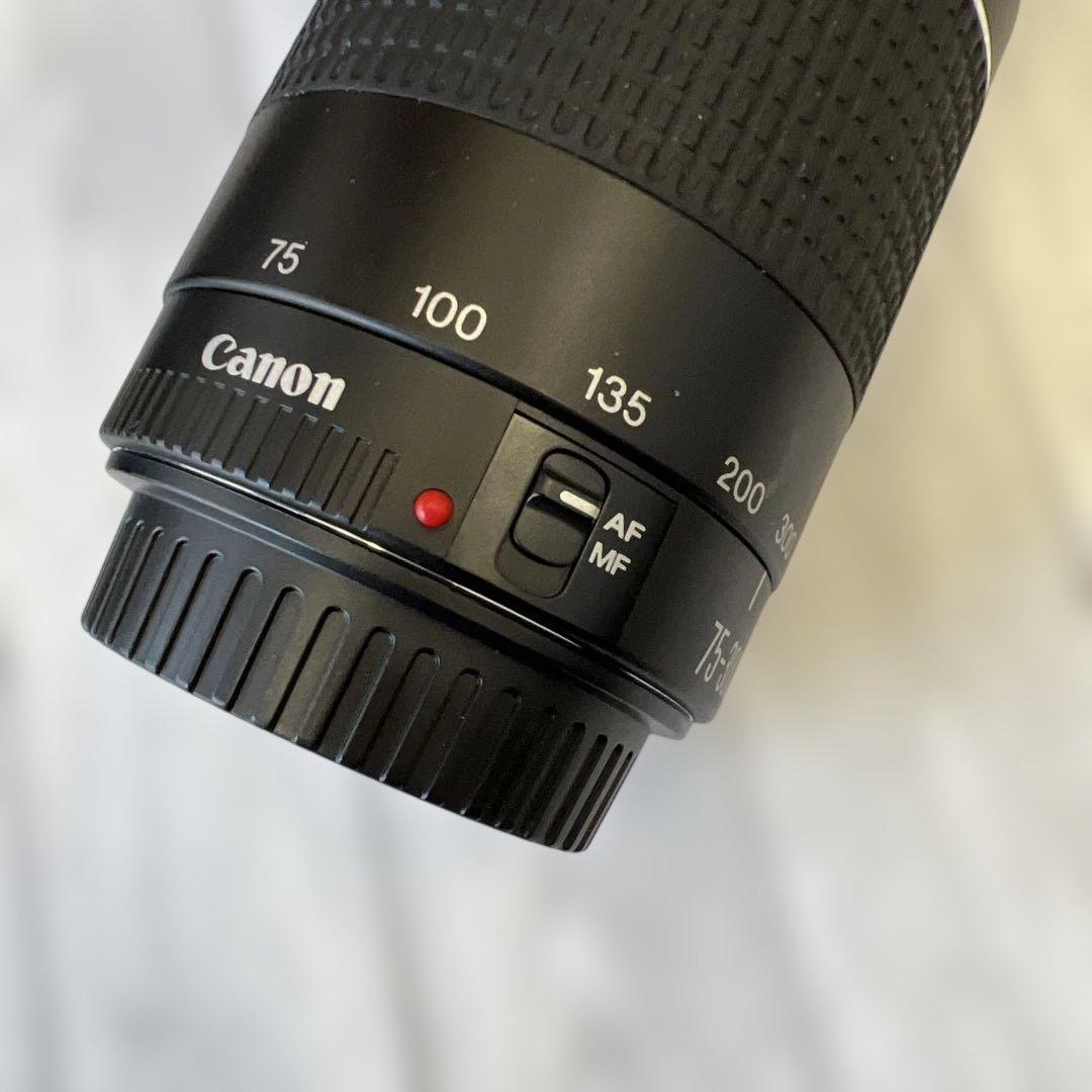 Canon 75-300mm ズームレンズ
