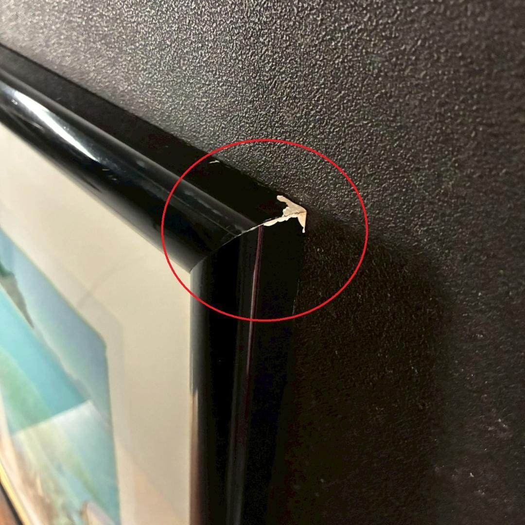 ジョアン・フック「サンゴ礁の熱帯魚」リトグラフ2点 大作 直筆サイン入 海