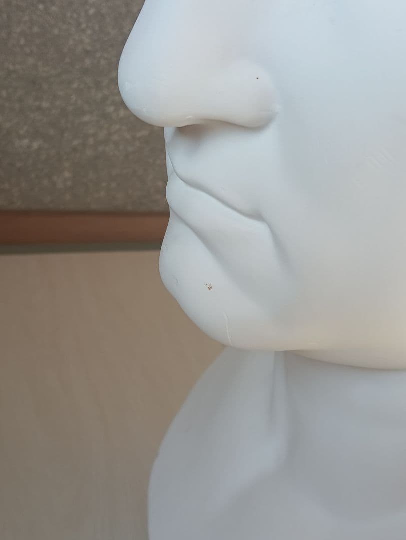 石膏像 アグリッパ（デッサン用）受験・練習用／発送対応