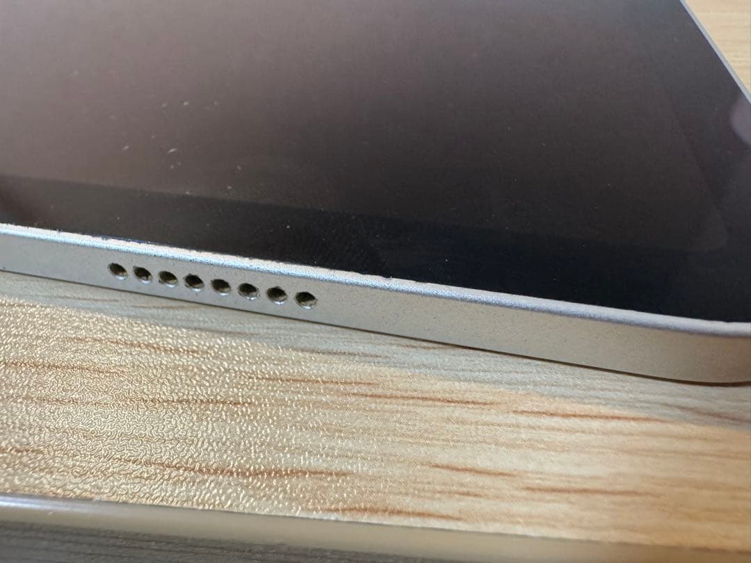 2021 M1 iPad Pro 128GB Wi-Fiモデル　シルバー本体のみ