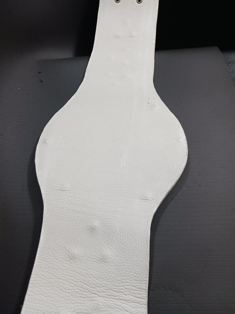 IWGPチャンピオンベルト(ジュニアヘビー級）