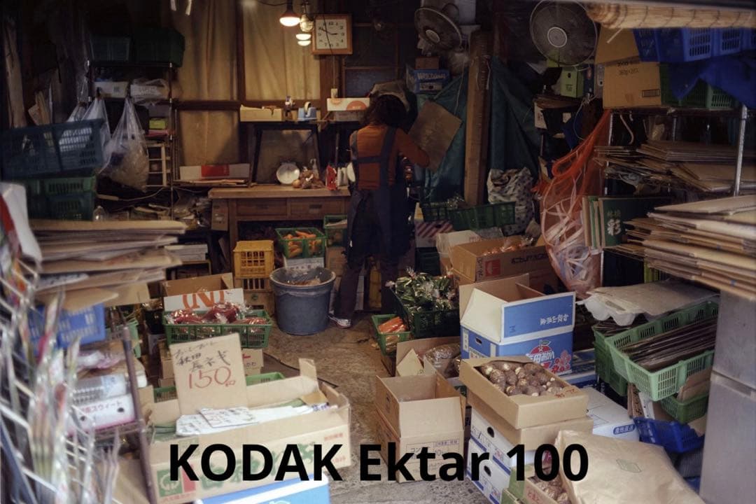 分解整備済 実用美品 Canon QL19 G-III フィルムカメラ 実写付き