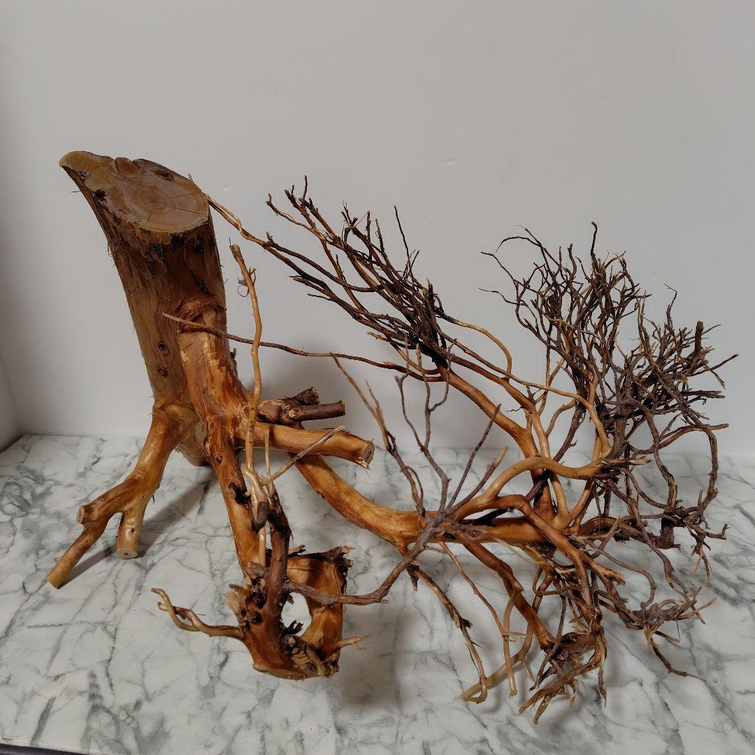 アク抜き済み流木【17】