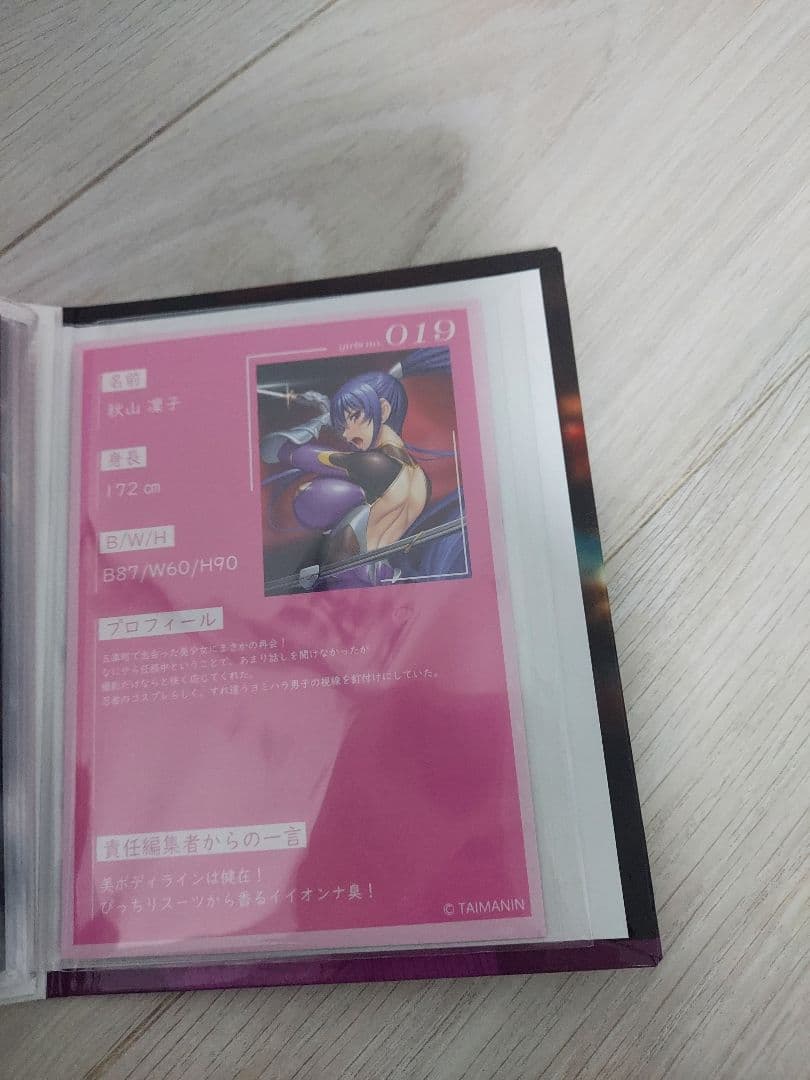 対魔忍 Vol.2+3Dカード019〜028コンプリート レンチキュラーカード