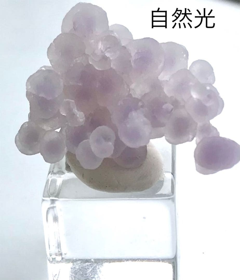 No.6 レア　ドゥルージー　グレープアゲート　グレープカルセドニー