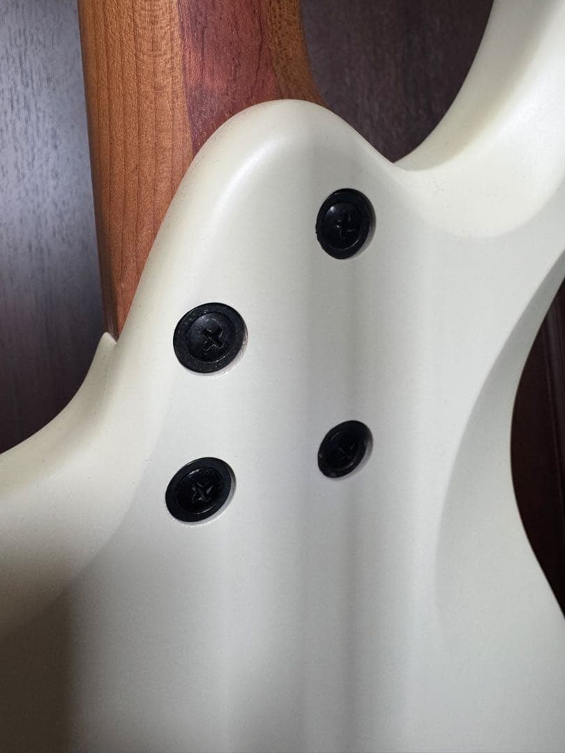 Ibanez ICHI10 【nagomi97様用】