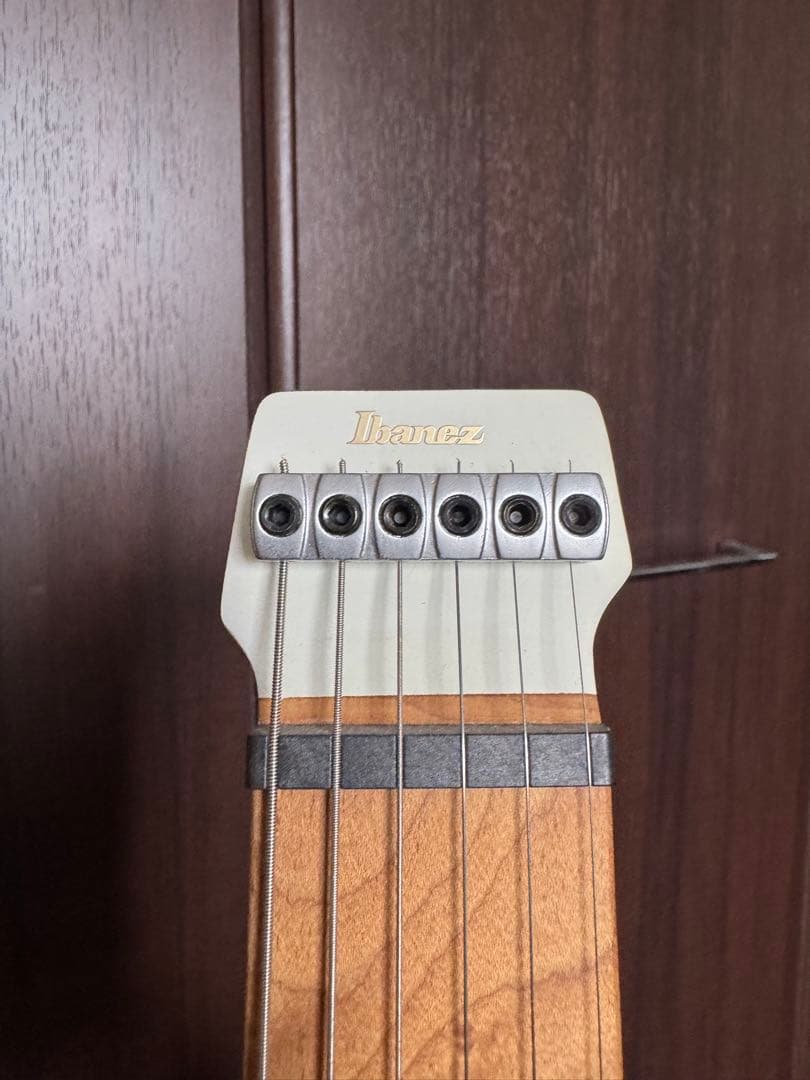 Ibanez ICHI10 【nagomi97様用】