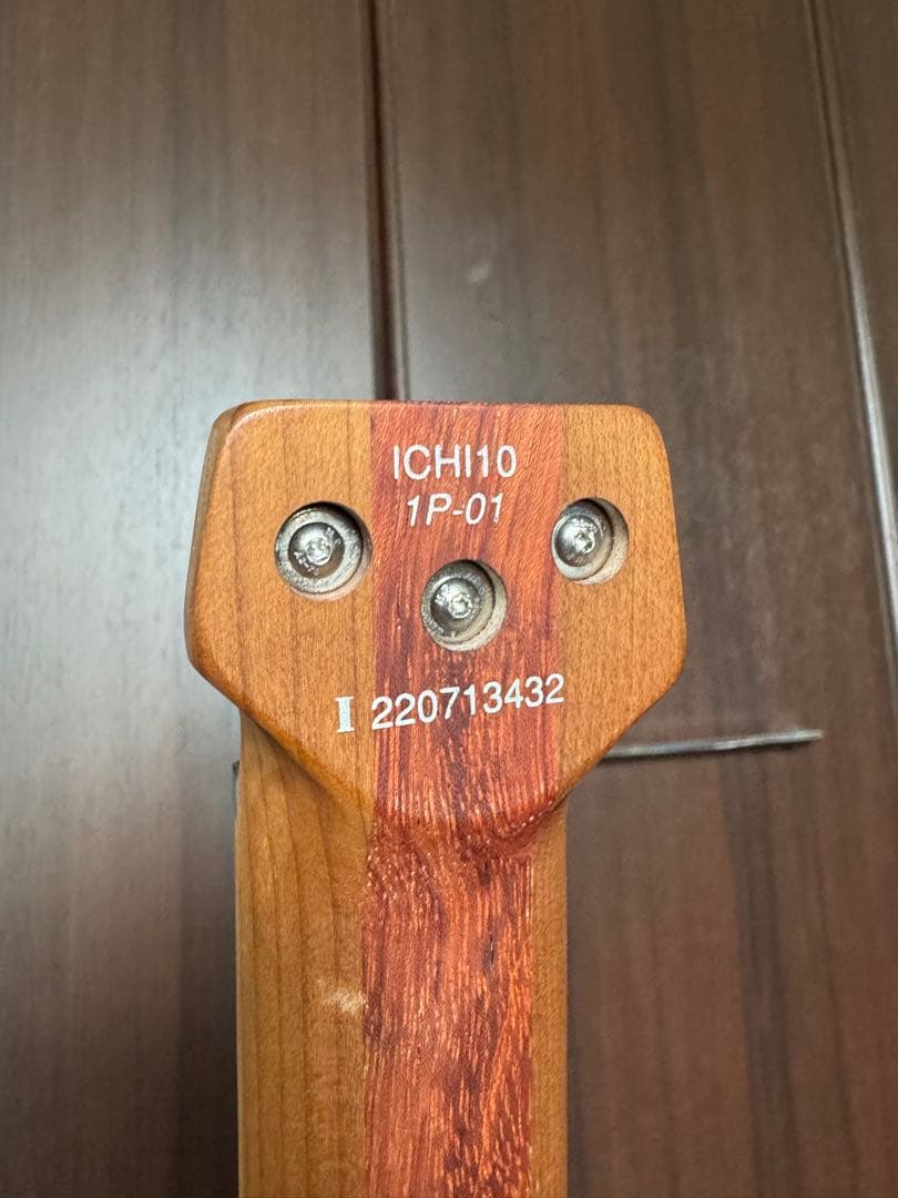 Ibanez ICHI10 【nagomi97様用】