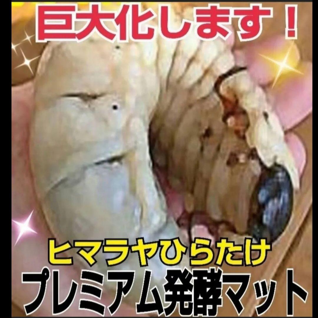 ヘラクレス幼虫が大きくなる！プレミアム3次発酵マット【60リットル】産卵にも抜群