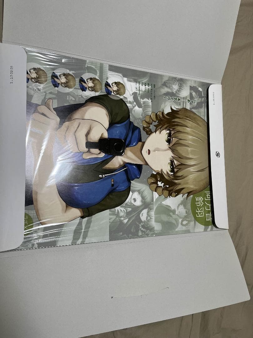 アニメグラフ　シュタインズゲート コミケ限定版