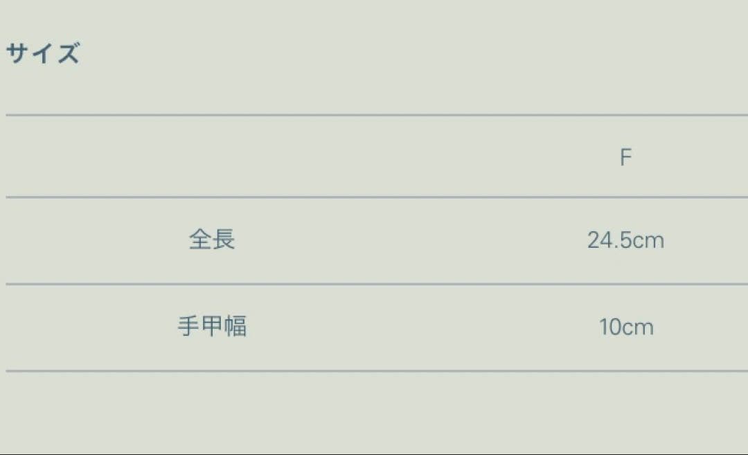 小物 ETHIOPIAN SHEEP SKIN GLOVE