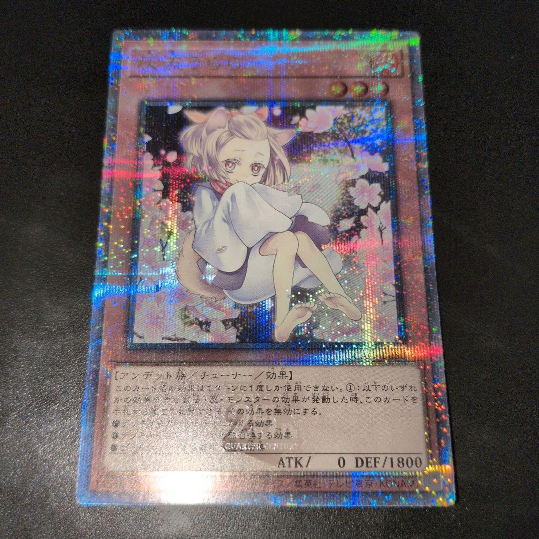 近日打切　遊戯王OCG　灰流うらら　25th　絵違い　日版