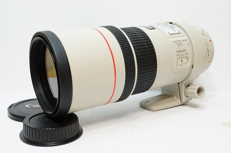 高級Lレンズ 手振れ　EF 300mm F4 L IS USM