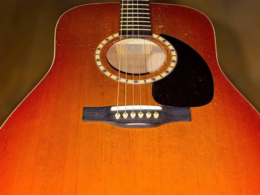 Art&Lutherie Folk Cedar Sunrise 　試聴動画有り