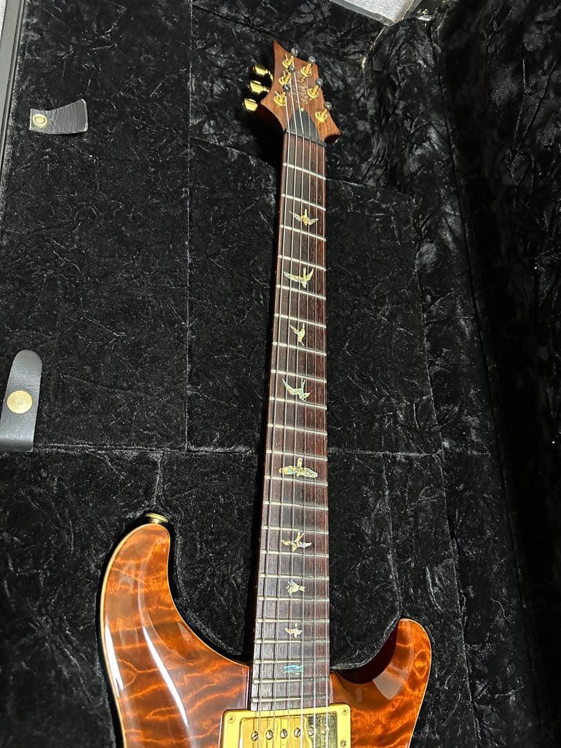 ギター Paul Reed Smith:Custom 22 Artist Package