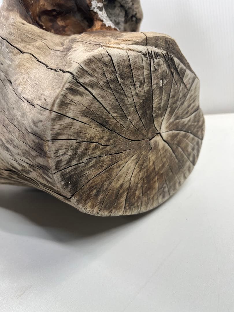 W21特大流木 アク抜き済み流木 爬虫類シェルター 止まり木 バードアスレチック