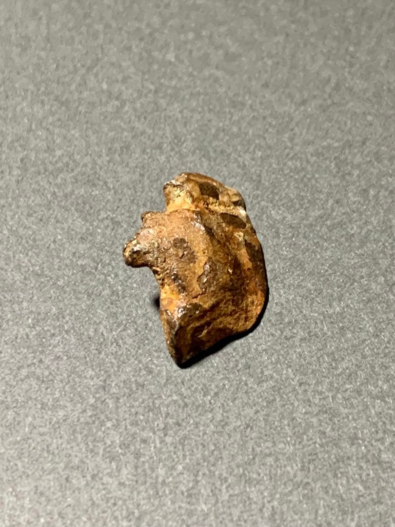 ゲベルカミル隕石✨ No.g01  原石
