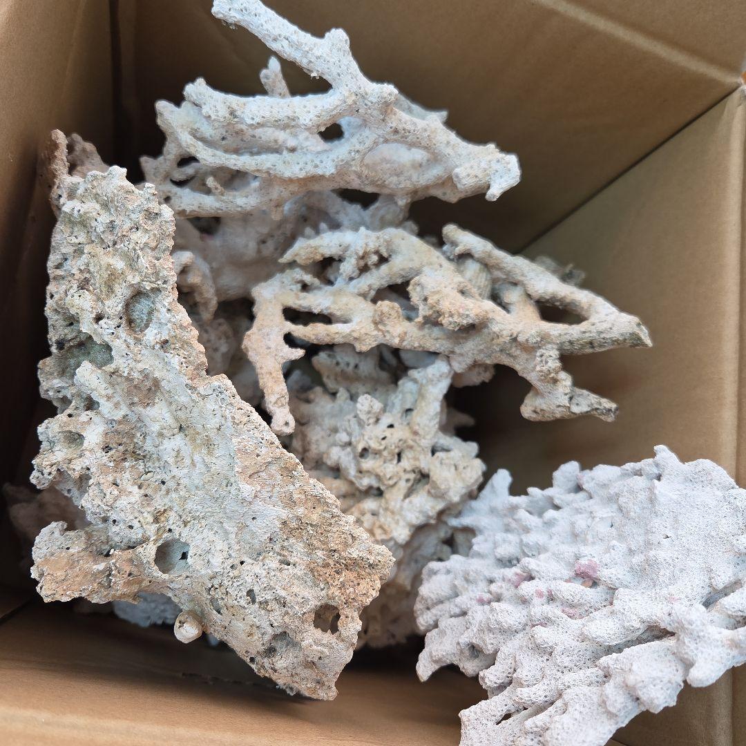 値下げ　水槽用サンゴ石セット　ライブロック　海水　淡水