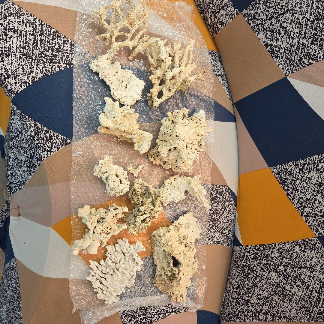 値下げ　水槽用サンゴ石セット　ライブロック　海水　淡水