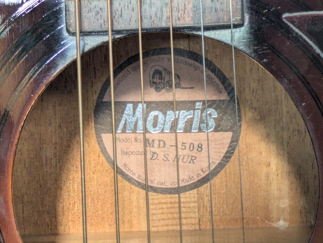Morris アコースティックギター MD-508 中古 モーリス