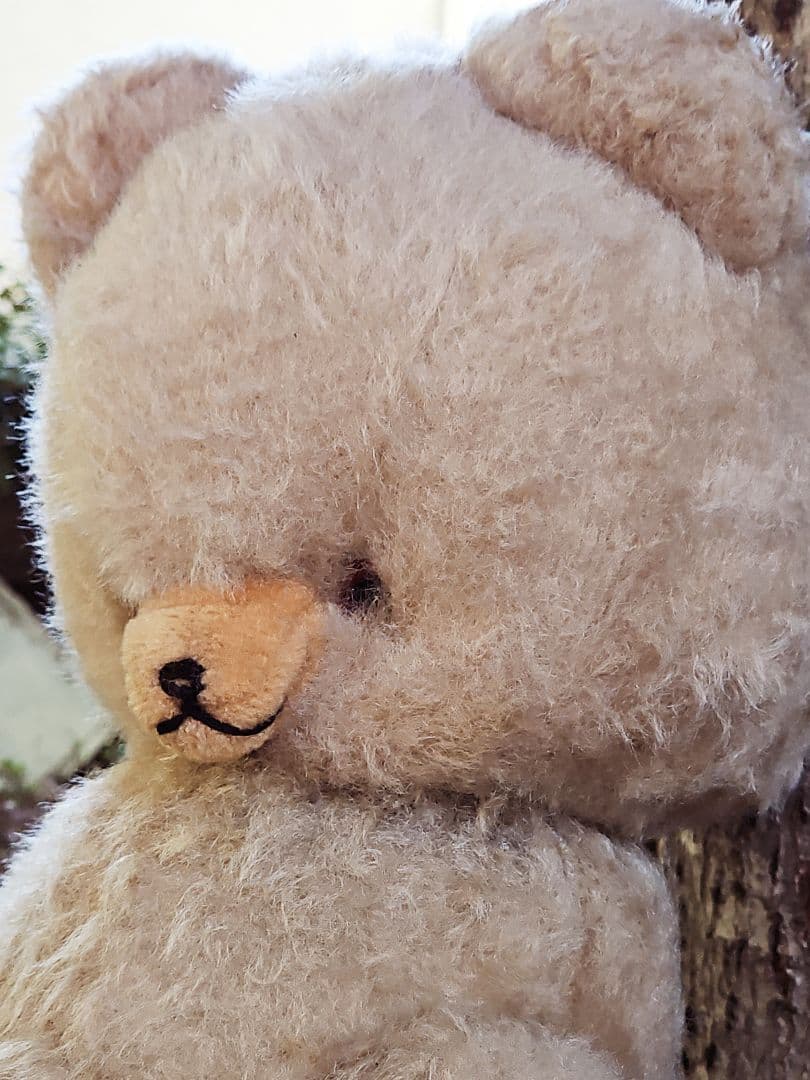 レア☆ DDRベア ベビーフェイスが可愛い大きな子 ʕ•ᴥ•ʔ