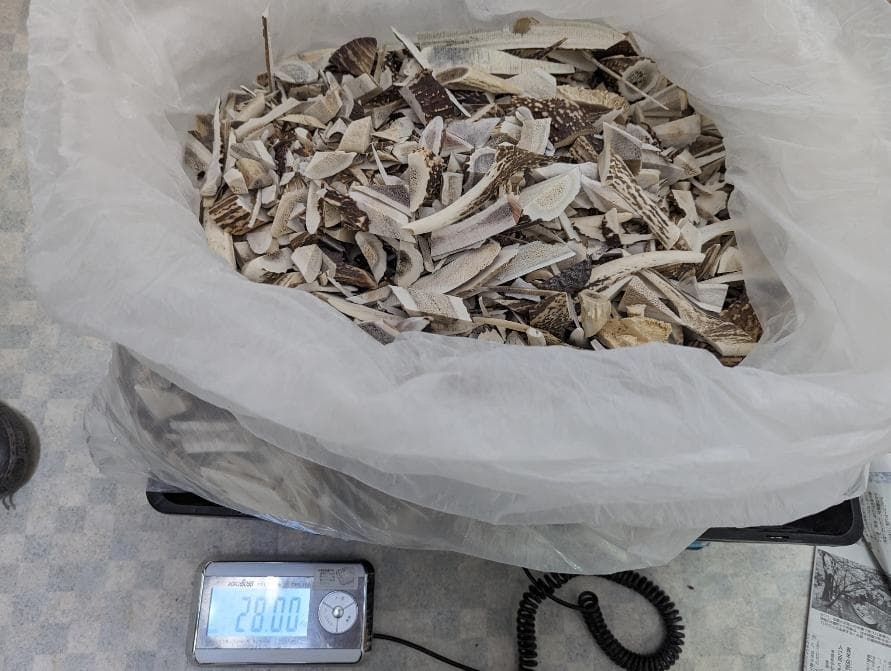 北海道産シカ角おやつ 28kg