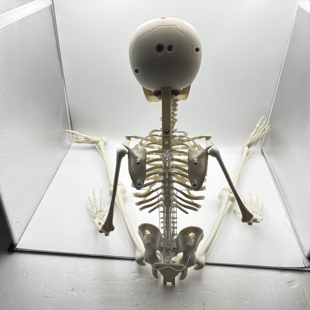 デアゴスティーニ　おしゃべりガイコツ　ホネッキー1～70