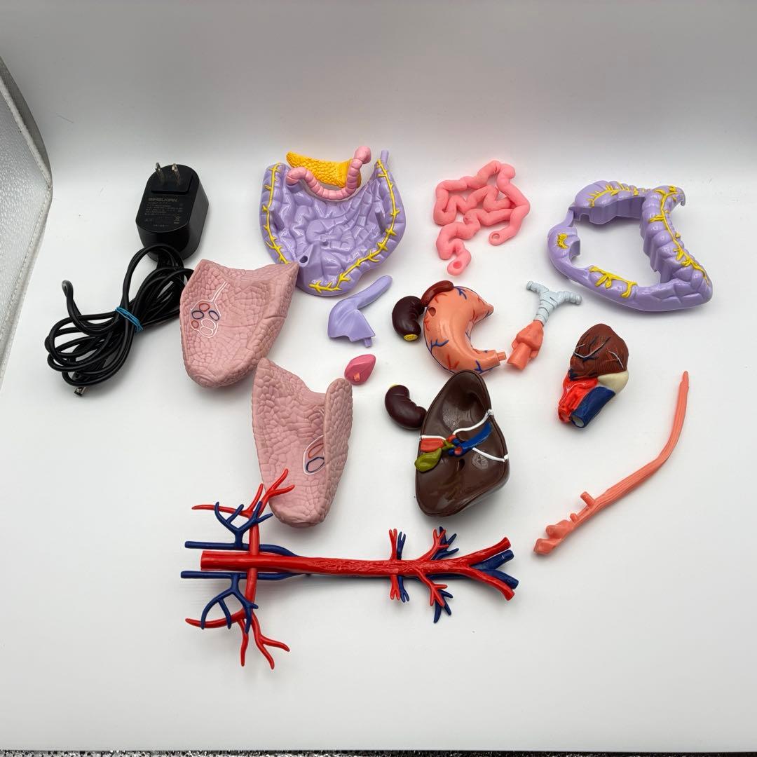 デアゴスティーニ　おしゃべりガイコツ　ホネッキー1～70