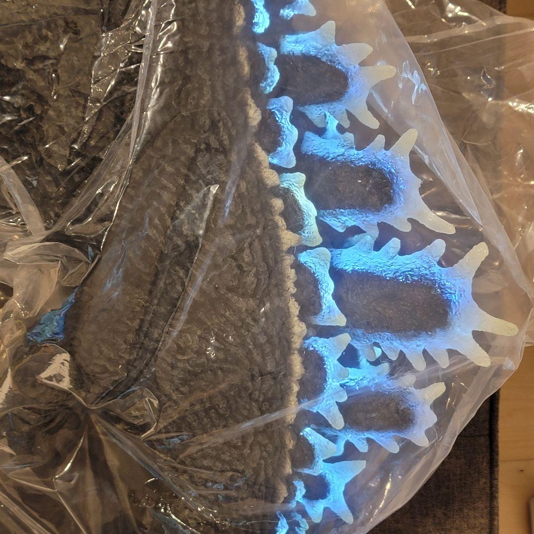 【開封済新品】ギガンティックシリーズ ゴジラ (1964) 発光Ver.