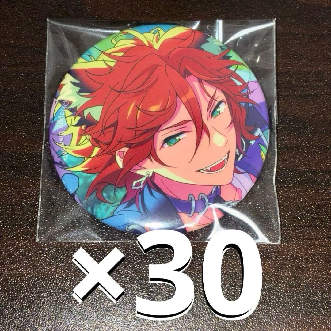 三毛縞斑 あんスタ コレクション 缶バッジ 2024 Nov Idol