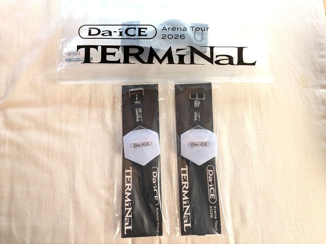 Da-iCE Terminal　ブレスレットライト　２個