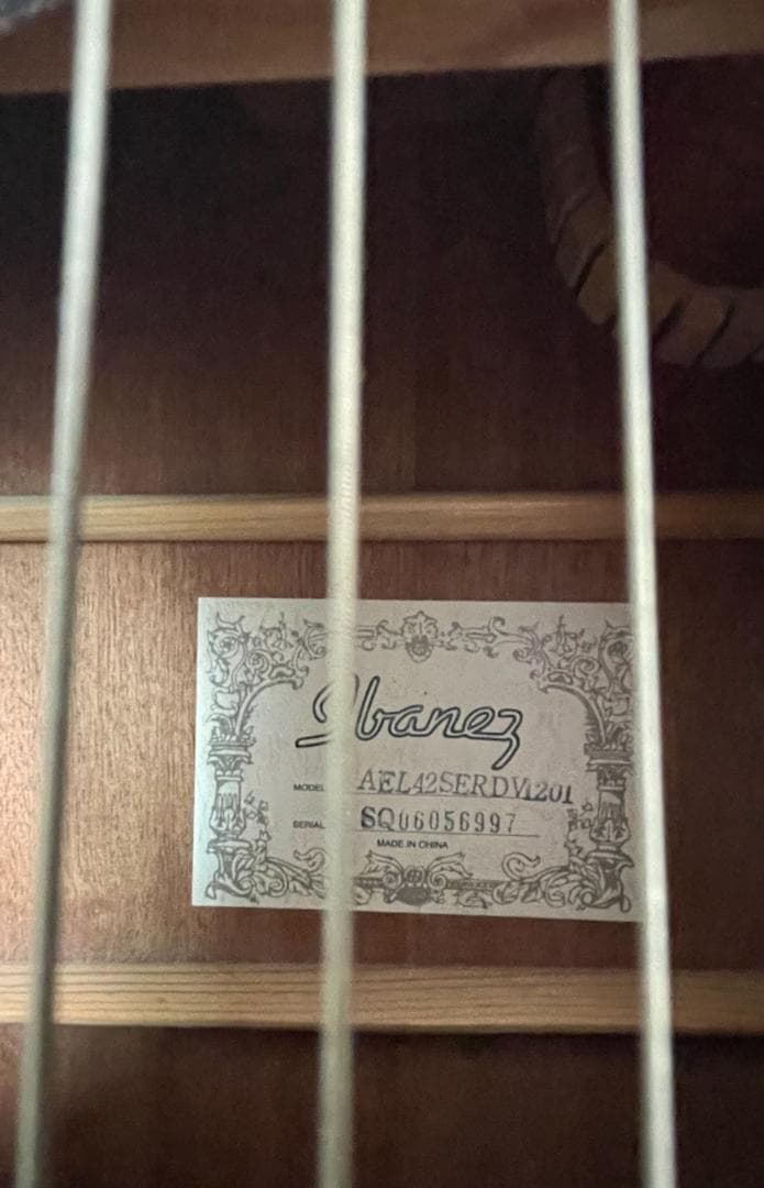 Ibanez AEL125ERD エレアコ ブラック