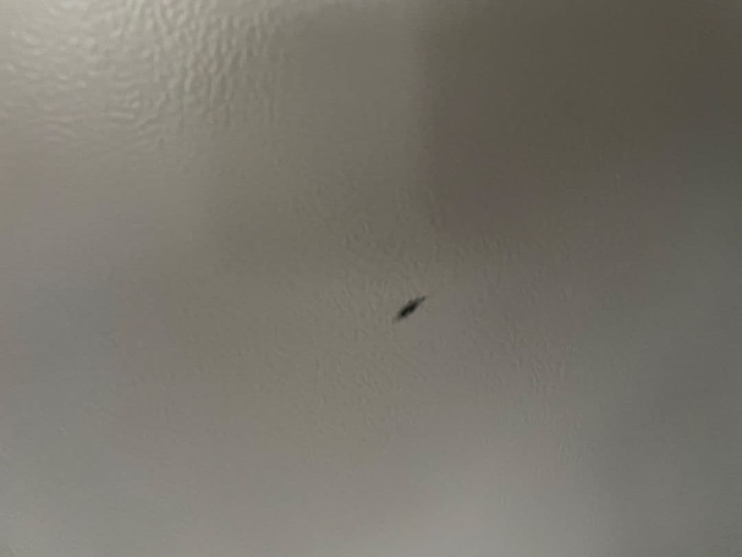 031104 SHARP ノンフロン冷凍冷蔵庫　SJ-W352E-S