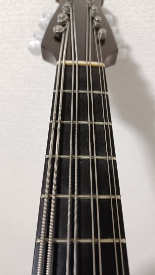 マ*ト様 マンドラ 石川捷二郎 リブ 彫り込み マンドリン ハードケース付