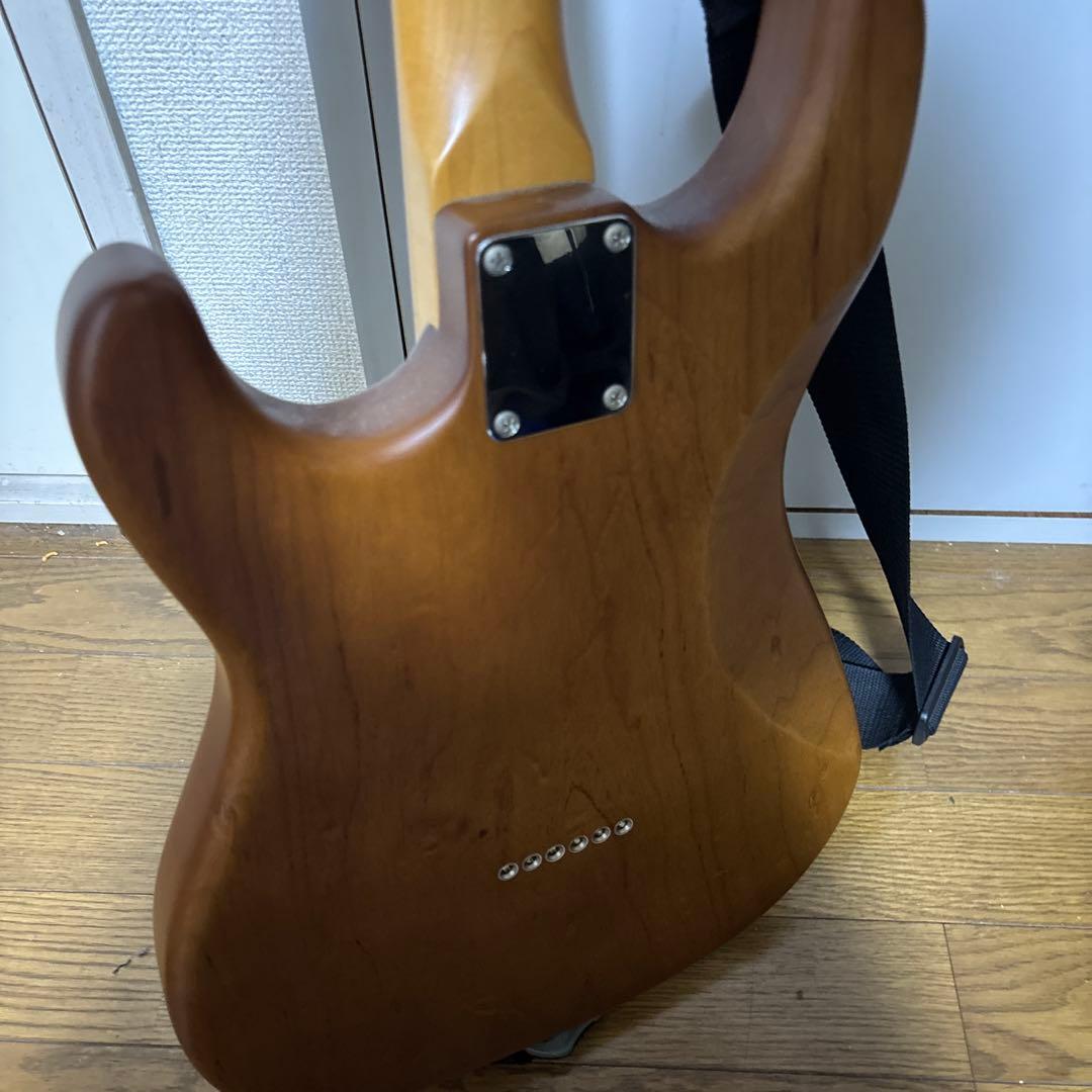 EDWADRS 9mm Parabellum Bullet 滝膳充シグネイチャー