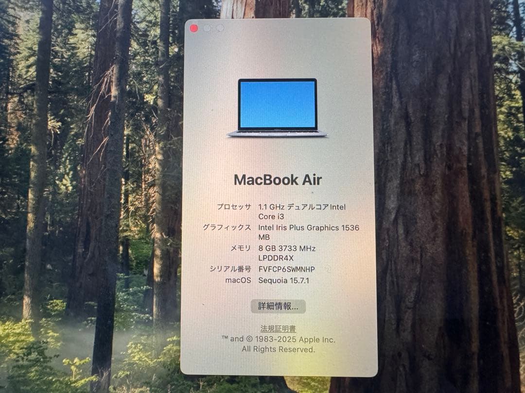 Apple MacBook Air 13インチ （2020-8GB-256GB）