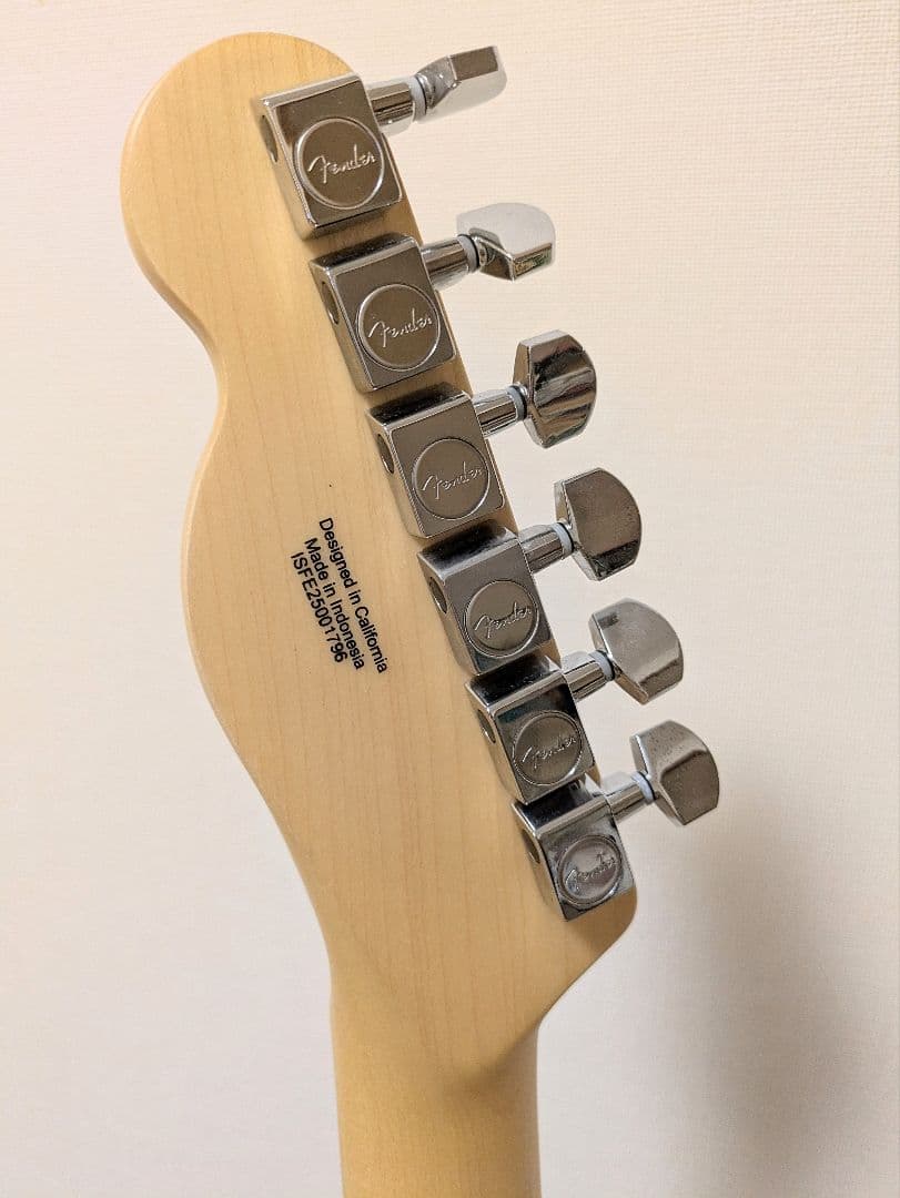 ギター Fender STANDARD TELECASTER
