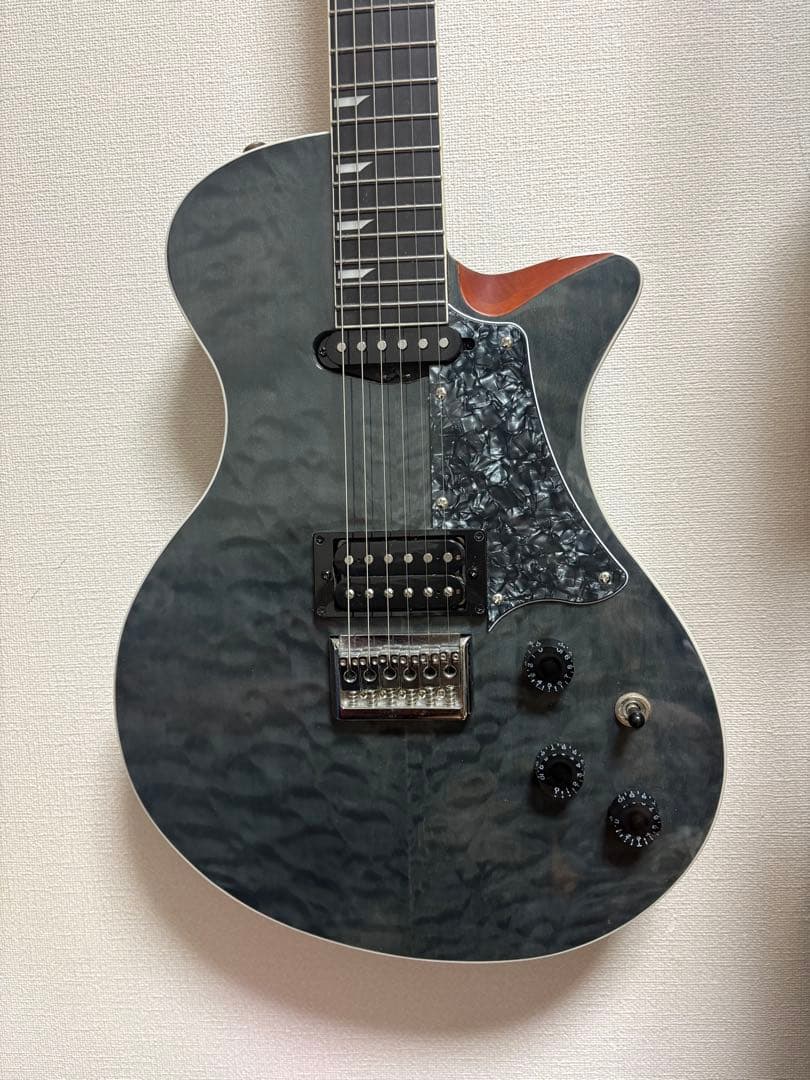 RYOGA HORNET /LEC TQM EBK 【生産完了品】